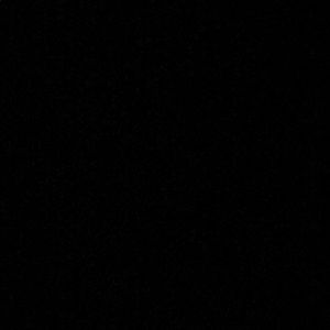 Meet your Posher, Layla